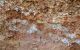 photo-76 - Coupe géologique montrant le sous sol et les veines d’argile bleue (smectite) sur l’une de nos parcelles de Pignon